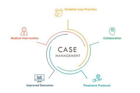 Information Systems in Case Management .